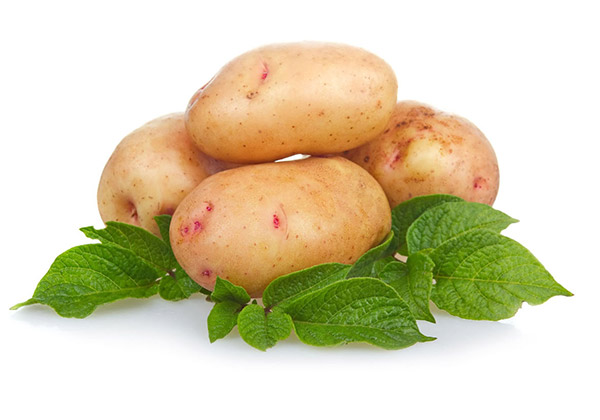 Картофель при лечении гастрита