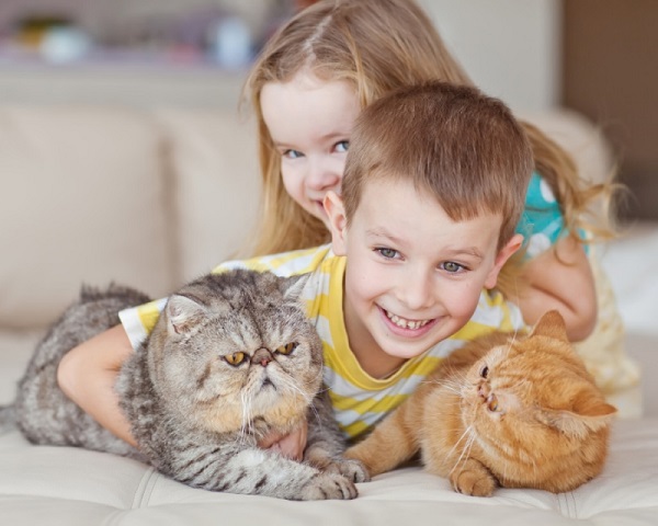 Аллергия у детей на кошек симптомы