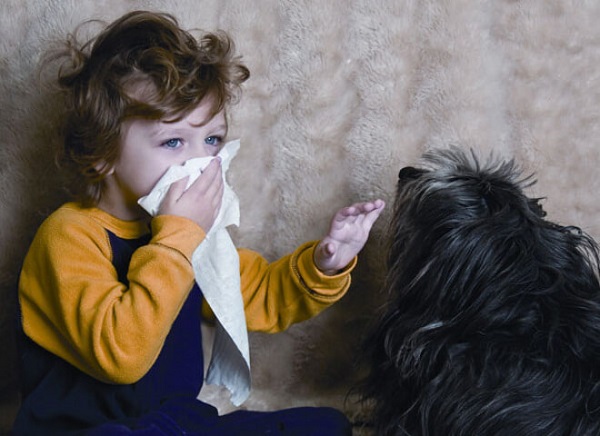 Аллергия у детей причины