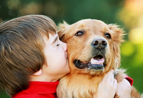 Аллергия на собак у детей причины