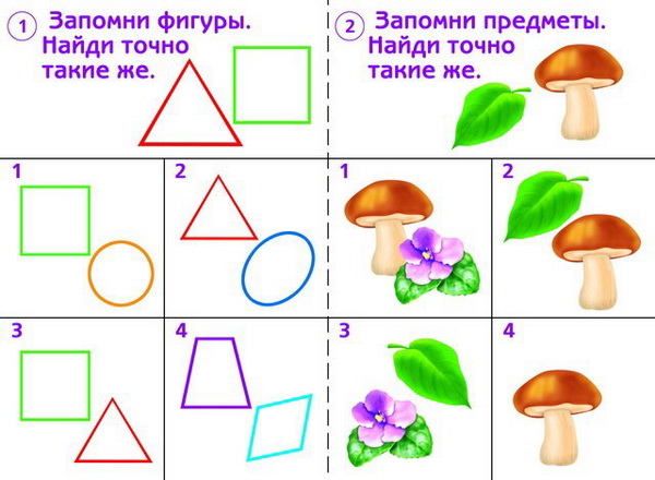 Память детей 4–5 лет: особенности, рекомендации и оценка ее развития