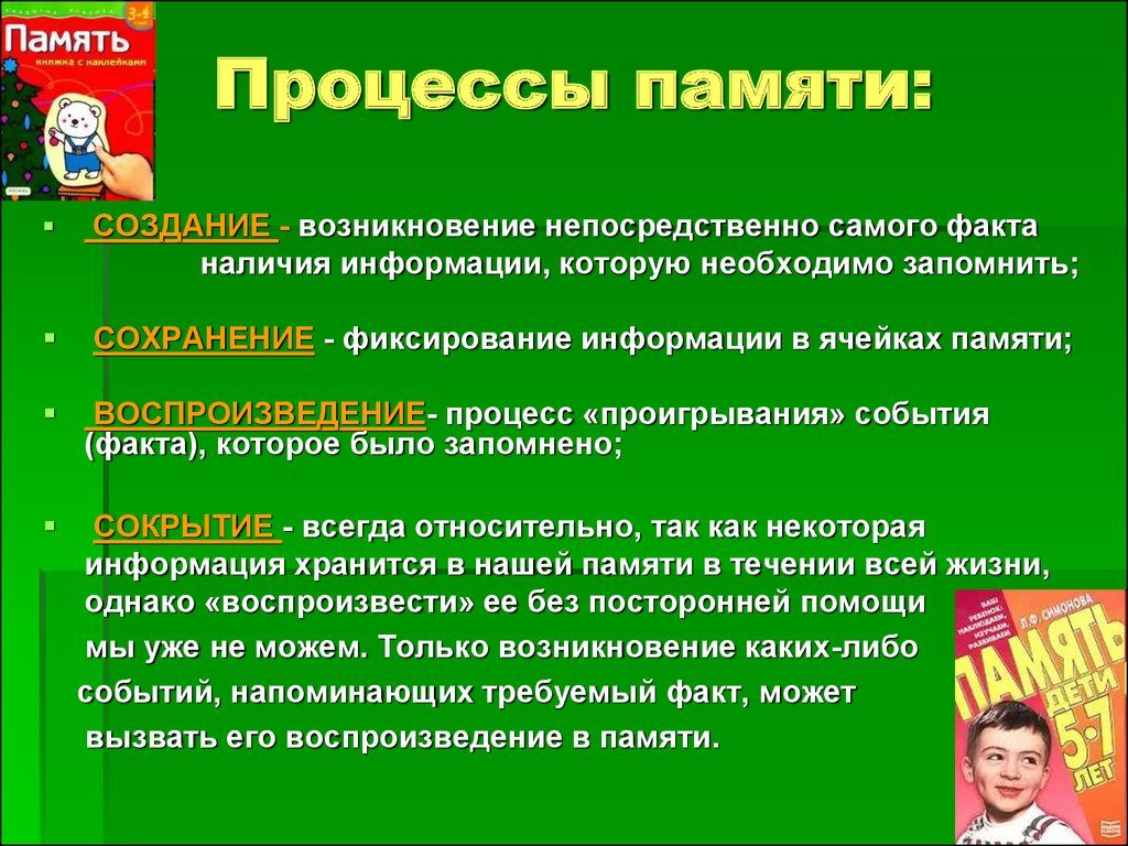 Развитие познавательной деятельности детей в раннем возрасте