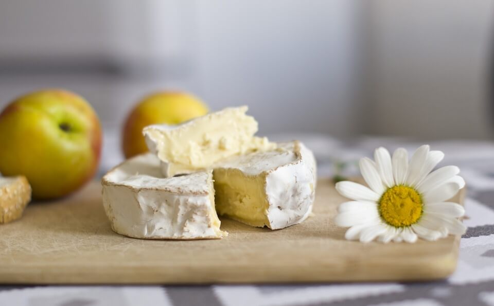 Сыр с плесенью при грудном вскармливании: можно или нет 