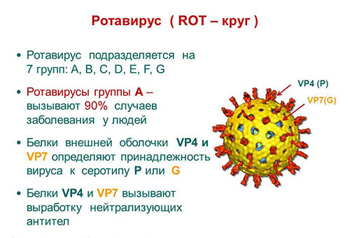 Что такое ротавирусная кишечная инфекция