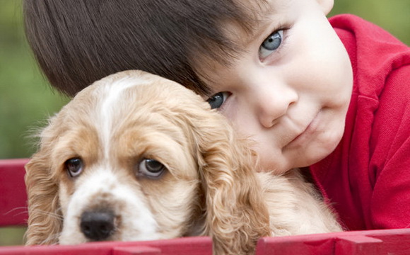 Дикие и домашние животные: их значение в развитии ребёнка