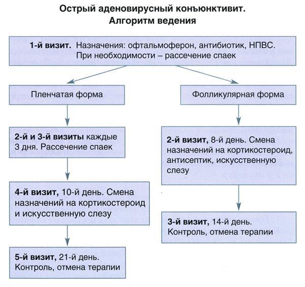Конъюнктивит глаз: виды заболевания и способы лечения у детей