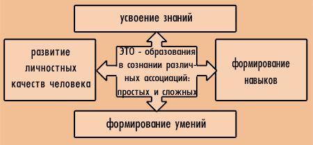 Основы формирования и усвоения знаний, навыков, умений