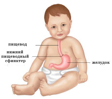 Почему ребенок срыгивает?