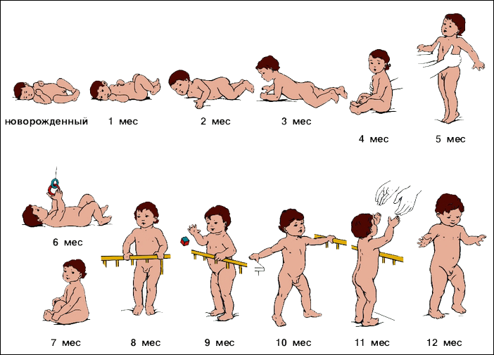 Воспитание и развитие ребенка от рождения до года по месяцам